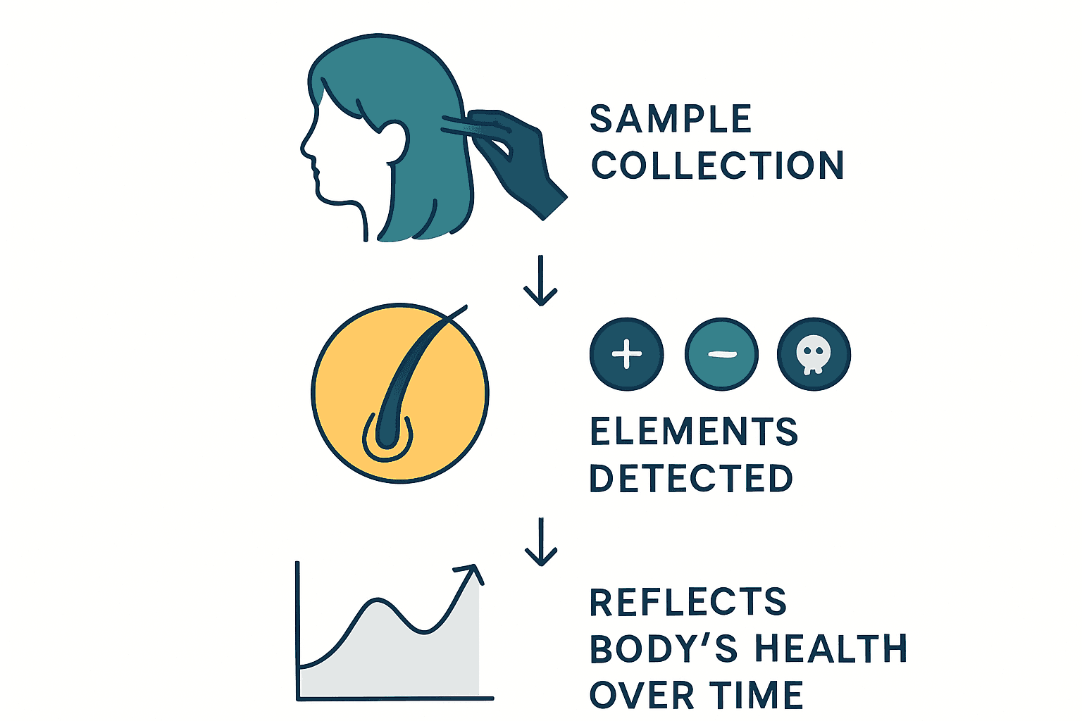 Infographic showing hair analysis test process and key findings