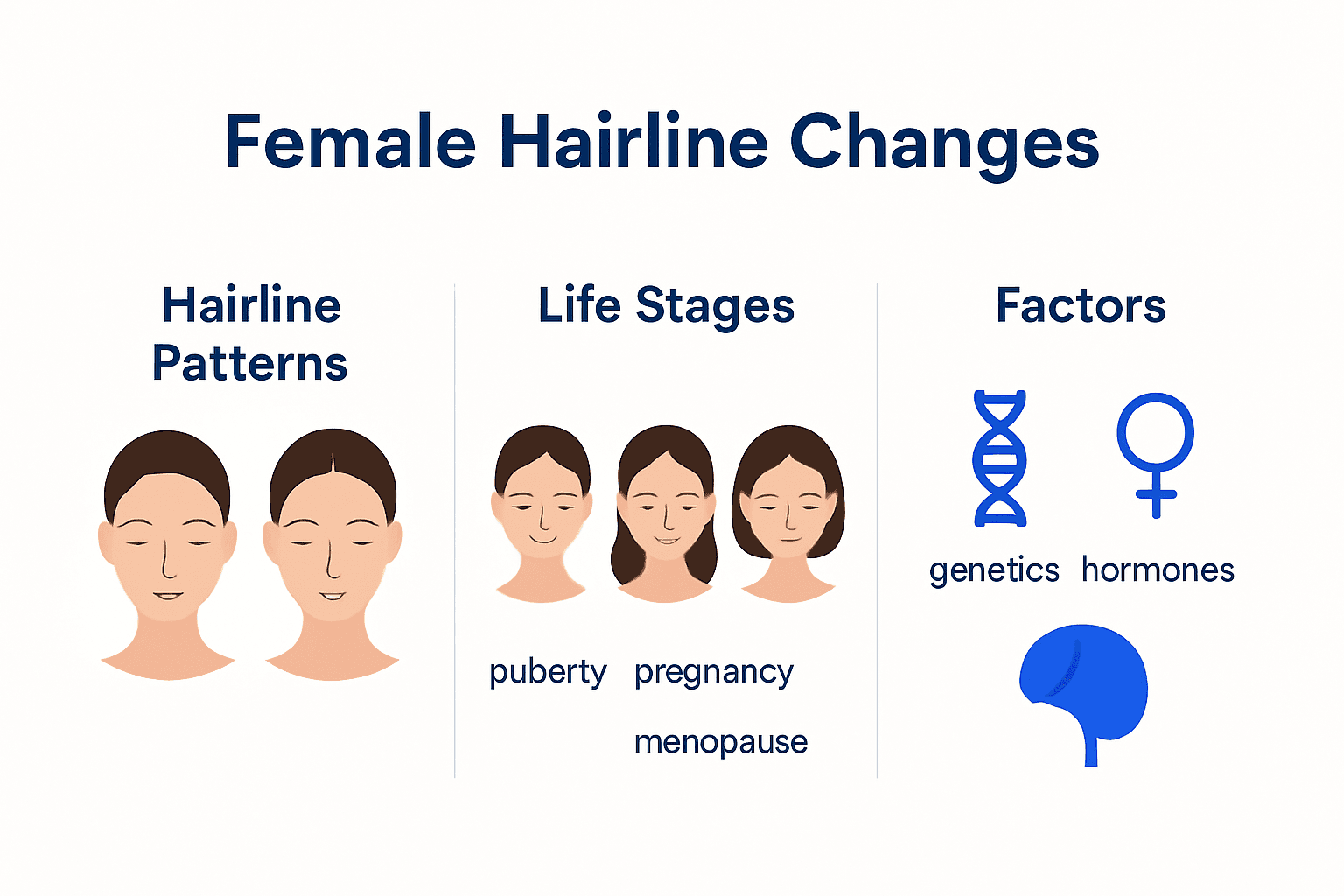 Infographic showing female hairline patterns and changes