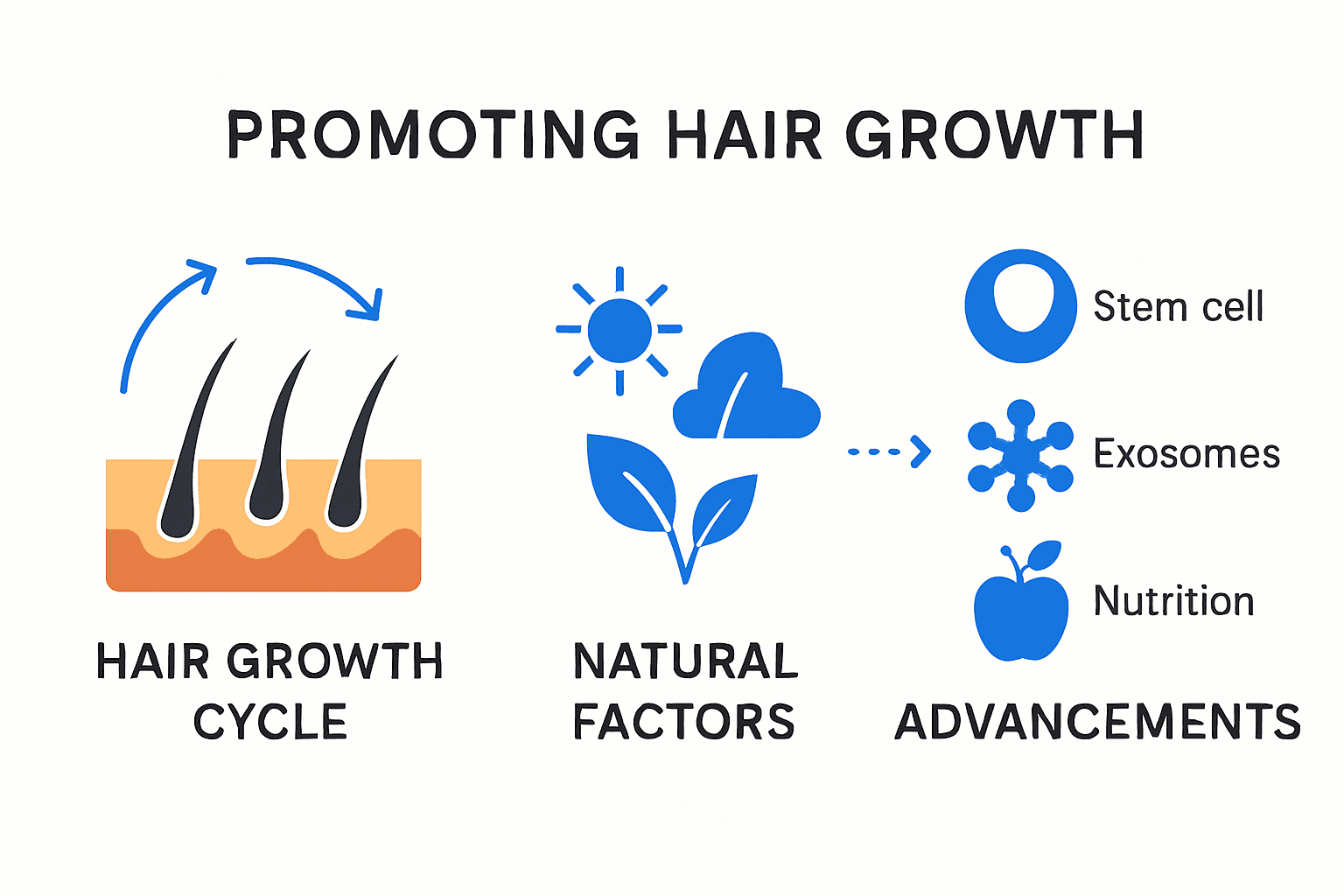 Infographic showing natural hair growth cycle and factors