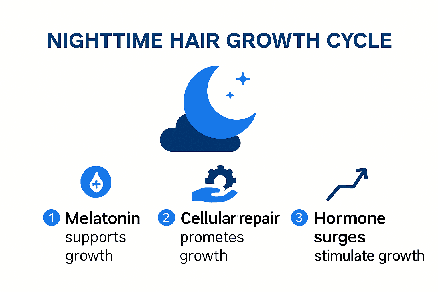 Nighttime hair growth cycle and key biological processes infographic
