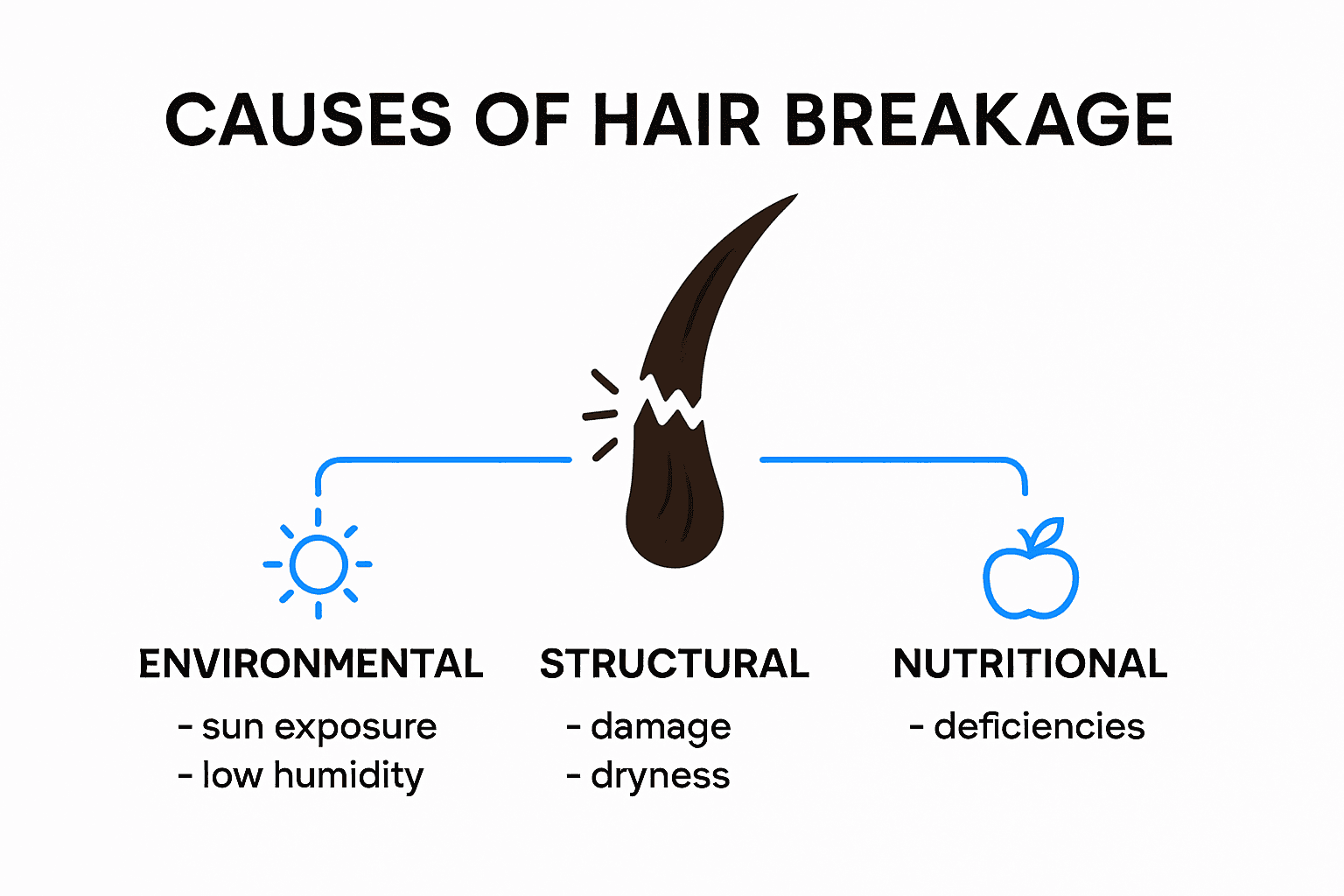 Infographic showing causes of hair breakage