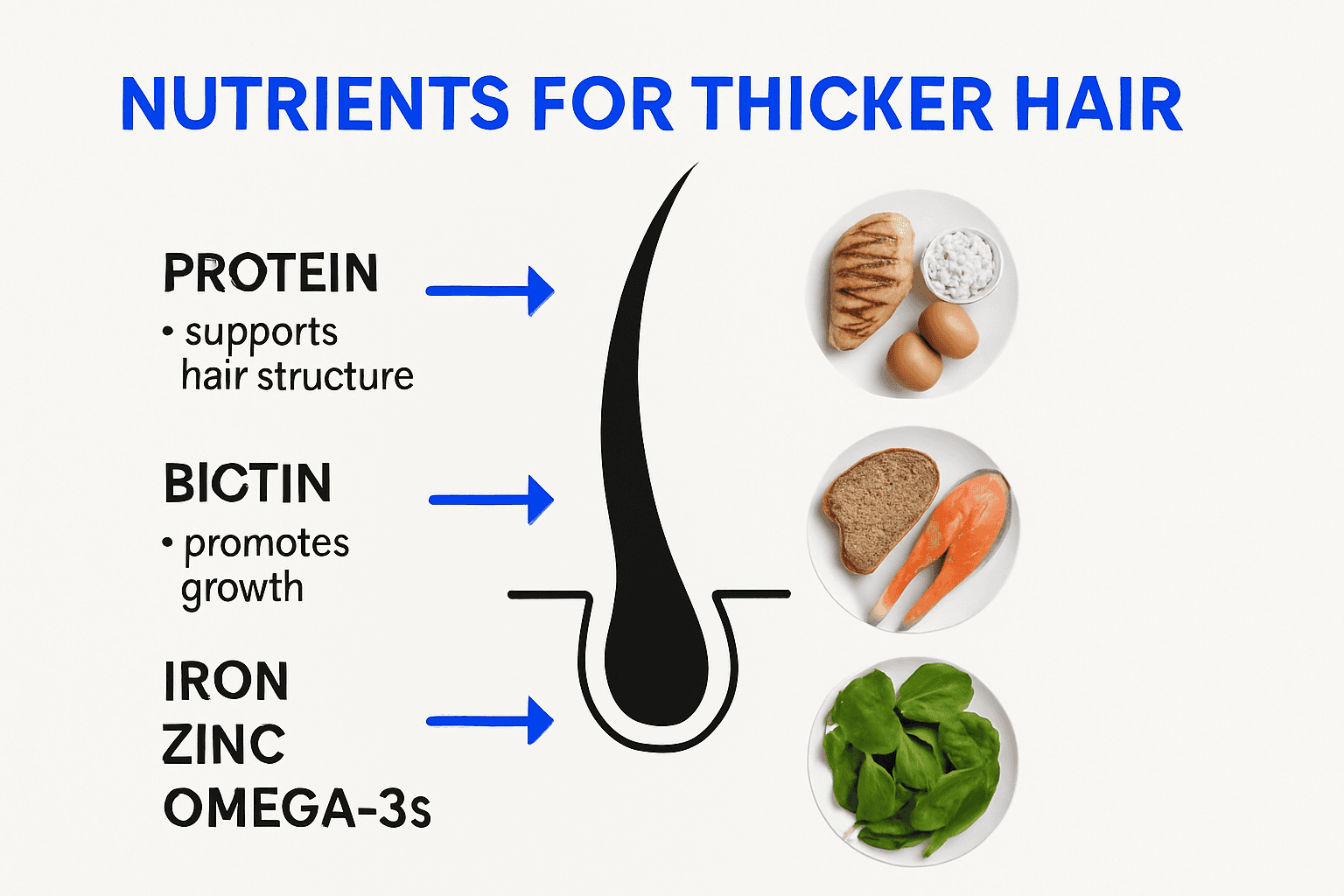 Infographic showing key nutrients for thick hair in men