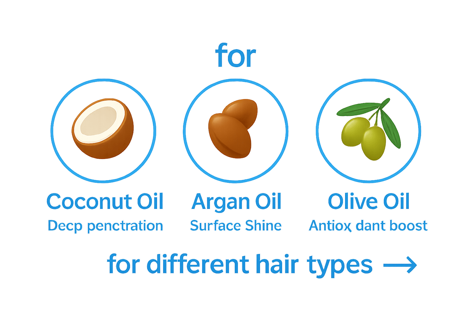 Infographic comparing coconut, argan, and olive oils for hair