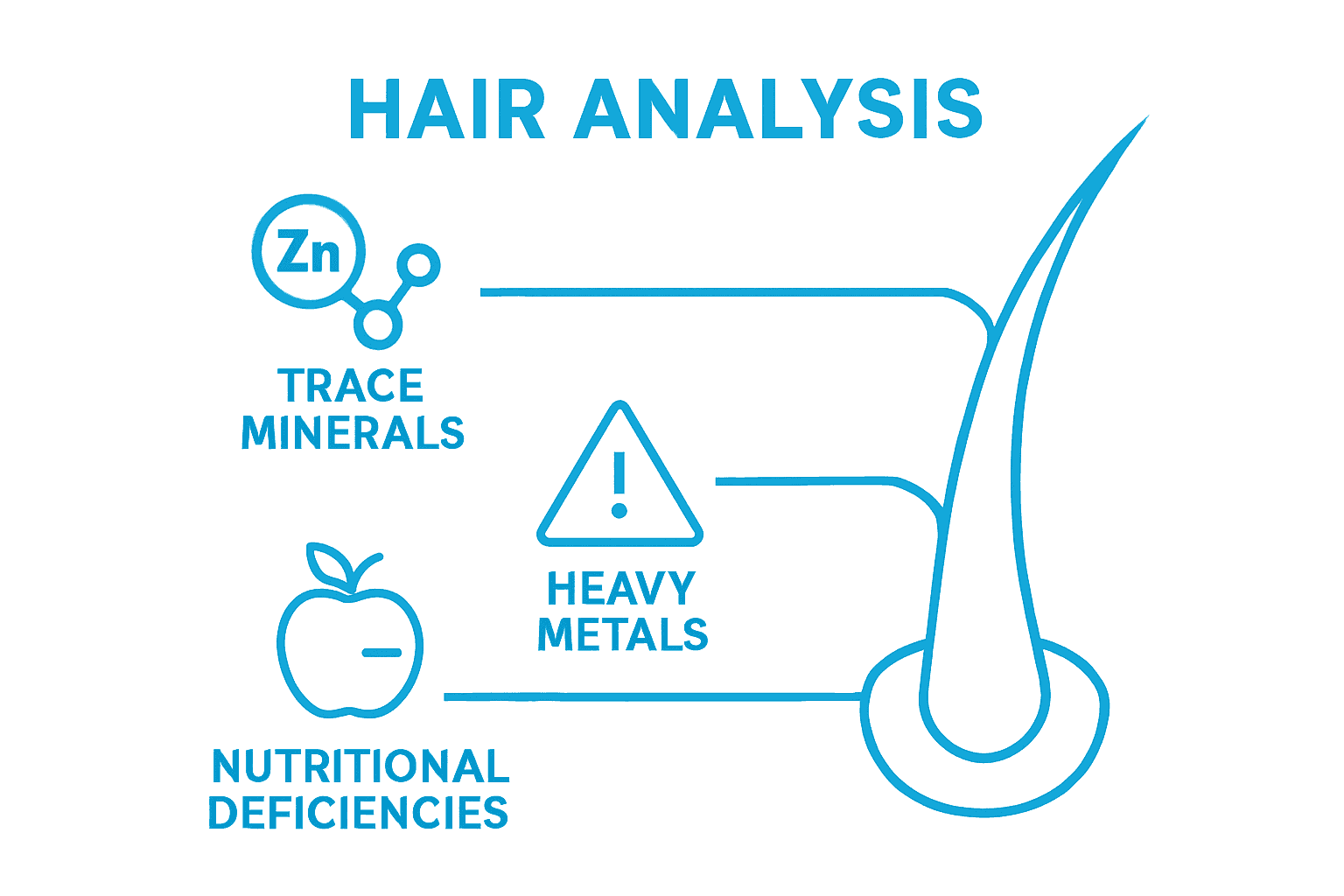 Simple chart linking hair analysis to minerals, metals, and nutrition