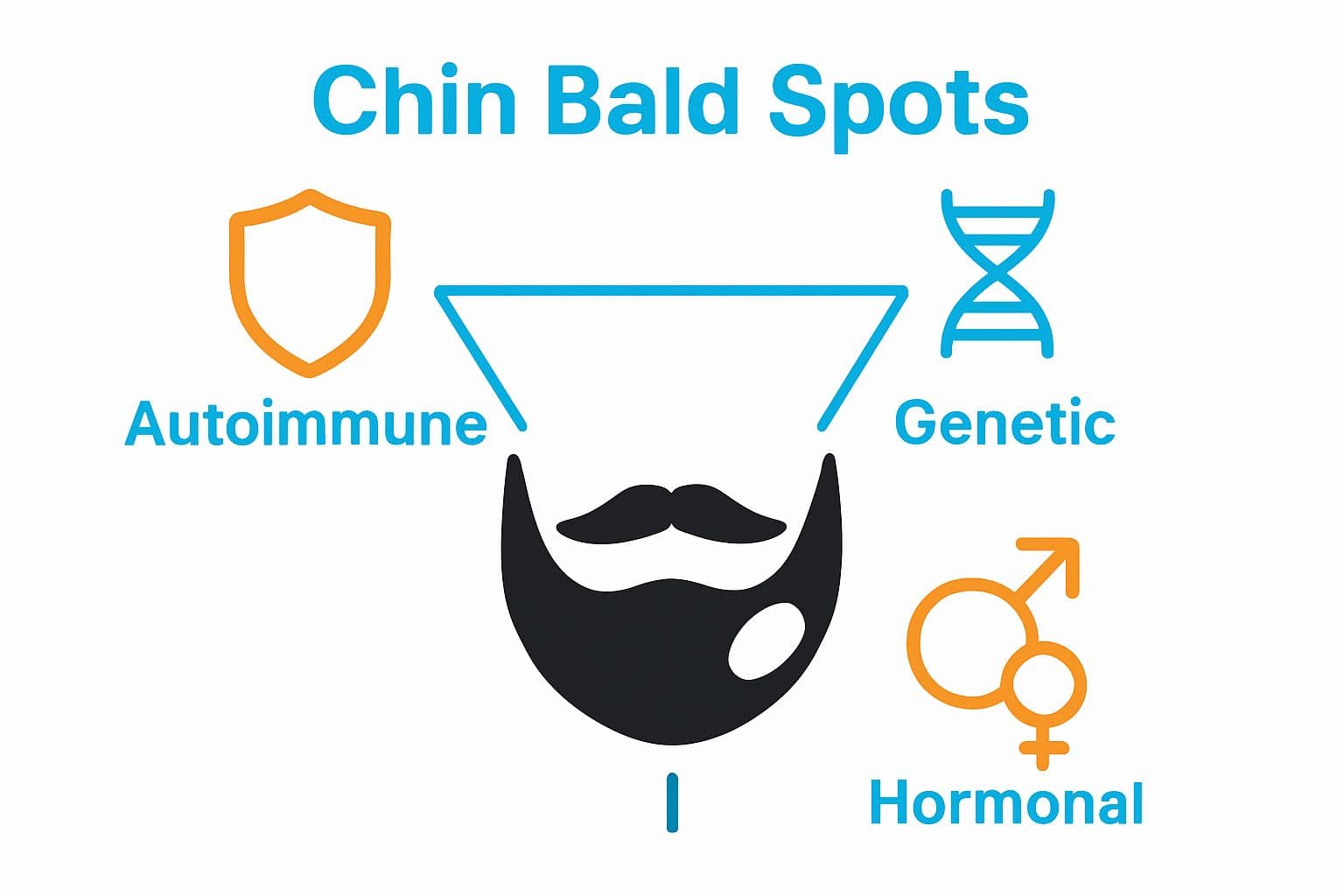 Simple visual showing autoimmune, genetic, and hormonal causes of chin bald spots