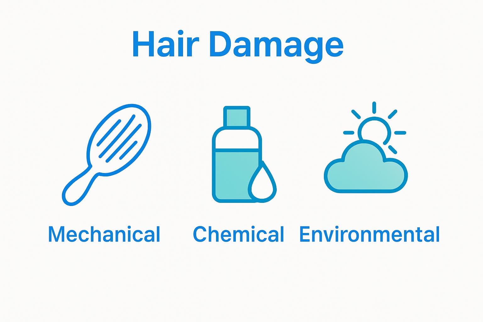 Infographic showing types of hair damage: mechanical, chemical, environmental