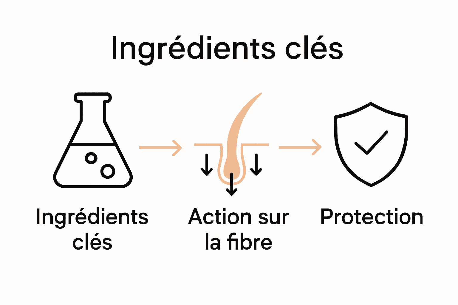 Infographic showing key ingredients and action of fortifying hair products.