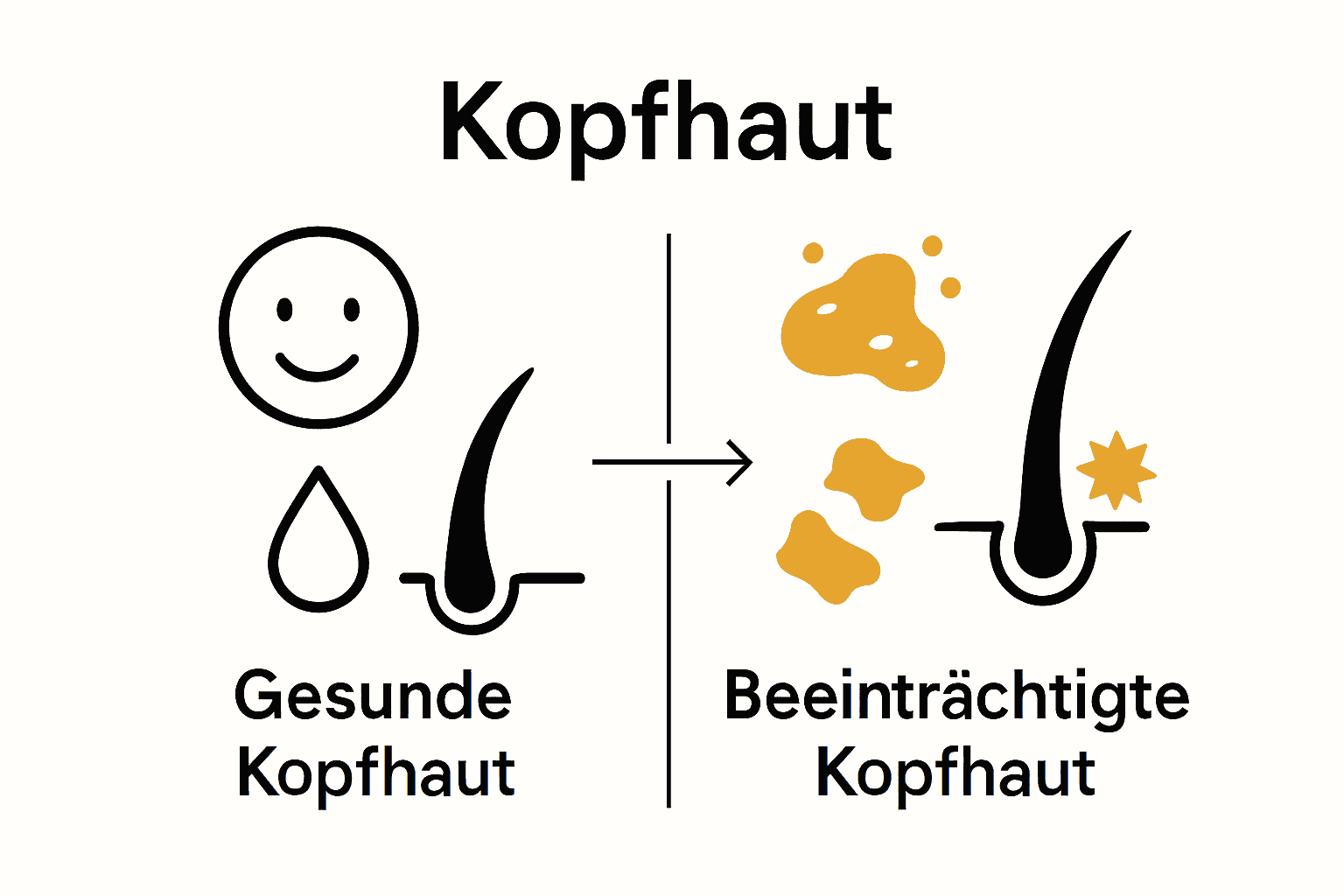 Infografik: Vergleich gesunde vs. beeinträchtigte Kopfhaut und deren Einfluss auf Haarausfall.