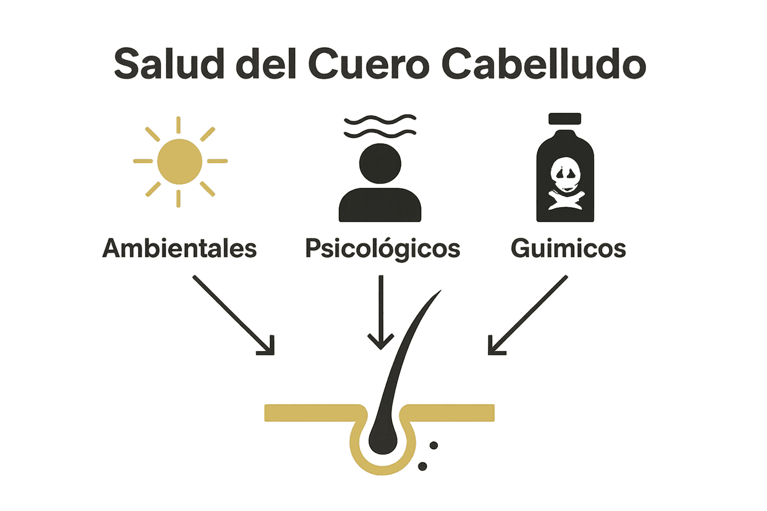 Infografía sobre factores que afectan la salud del cuero cabelludo: sol, estrés y químicos.