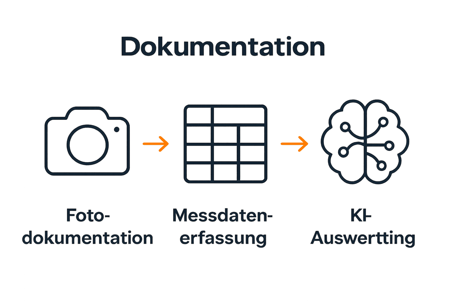 Infografik visualisiert Haarwachstumsdokumentation in 3 Schritten