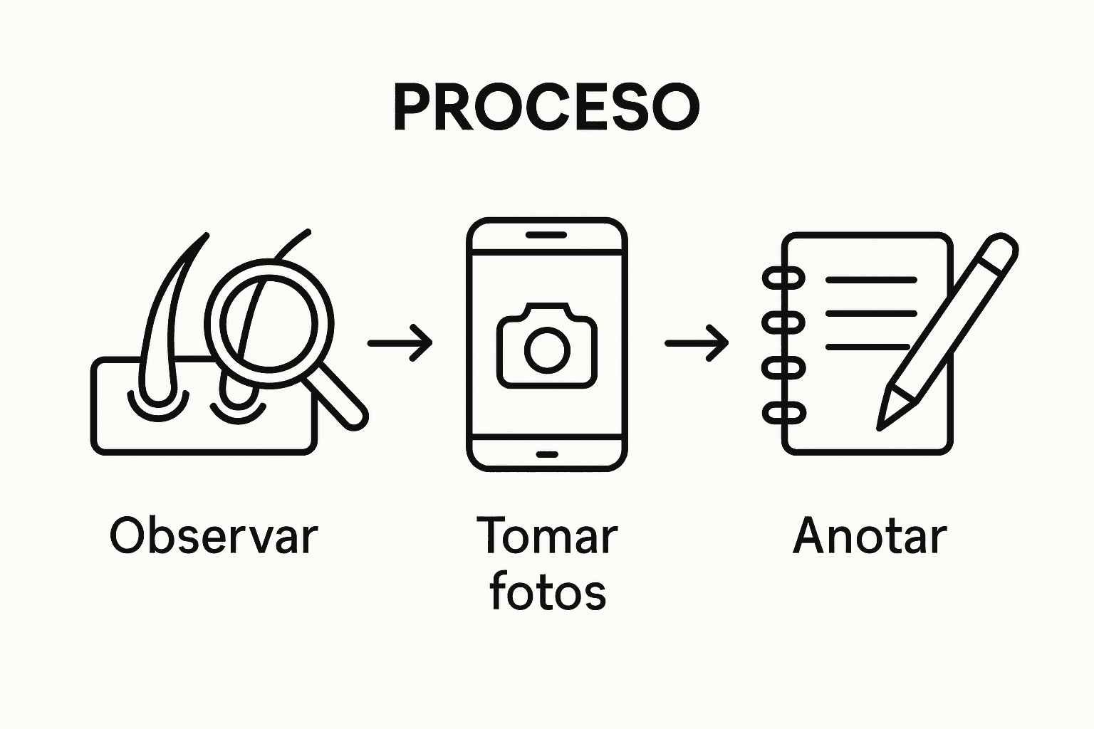 Guía visual: cómo registrar correctamente las observaciones del cuero cabelludo paso a paso