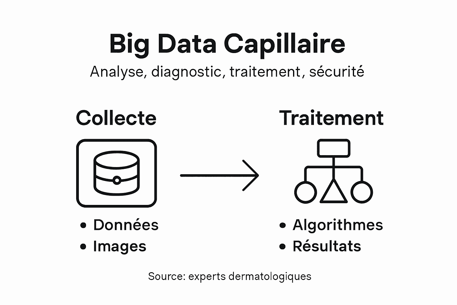 Tout savoir sur l’impact du big data dans le domaine de la santé capillaire, résumé en une infographie