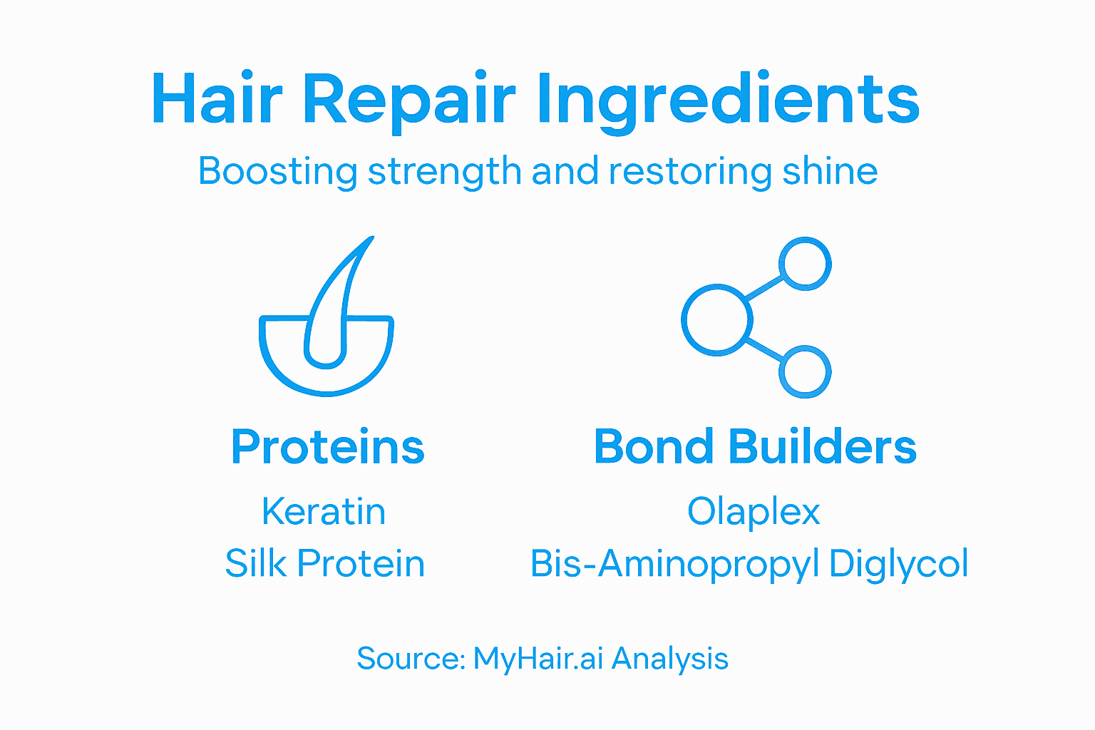 Infographic on hair repair ingredients categories