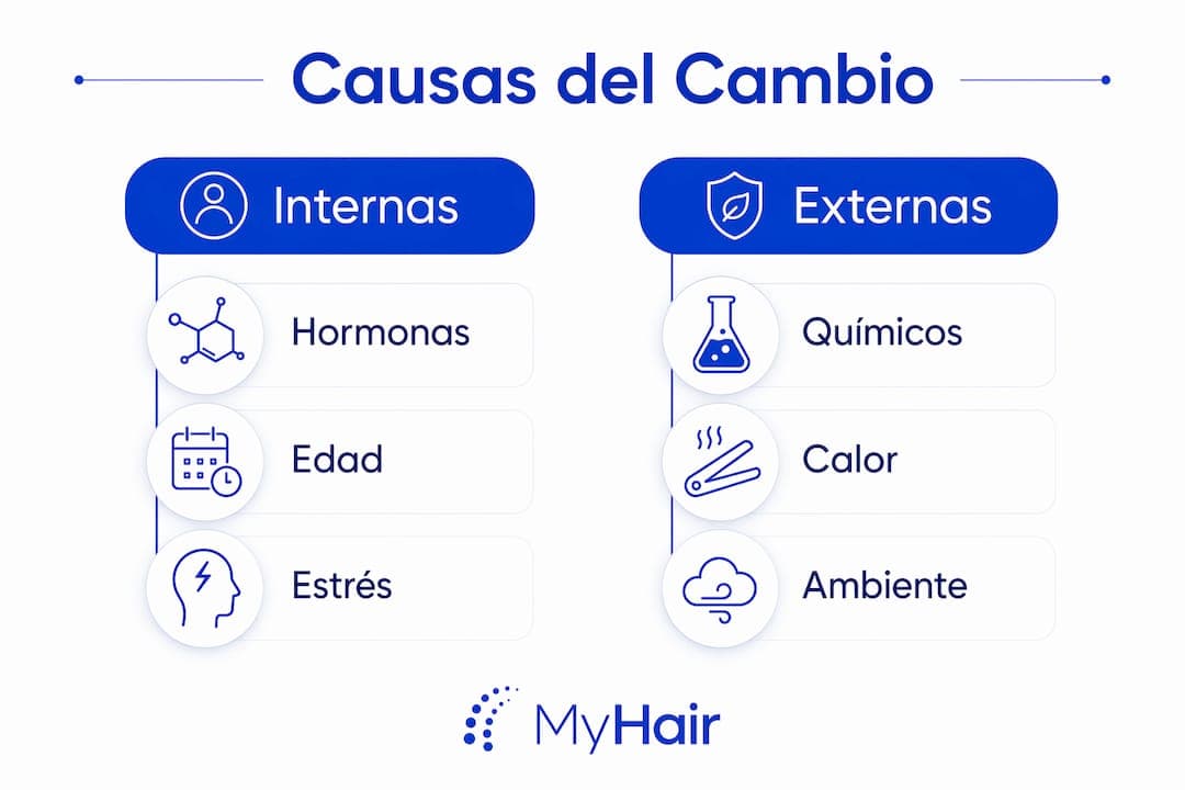 Infografía que muestra las diferencias entre factores internos y externos que afectan la textura