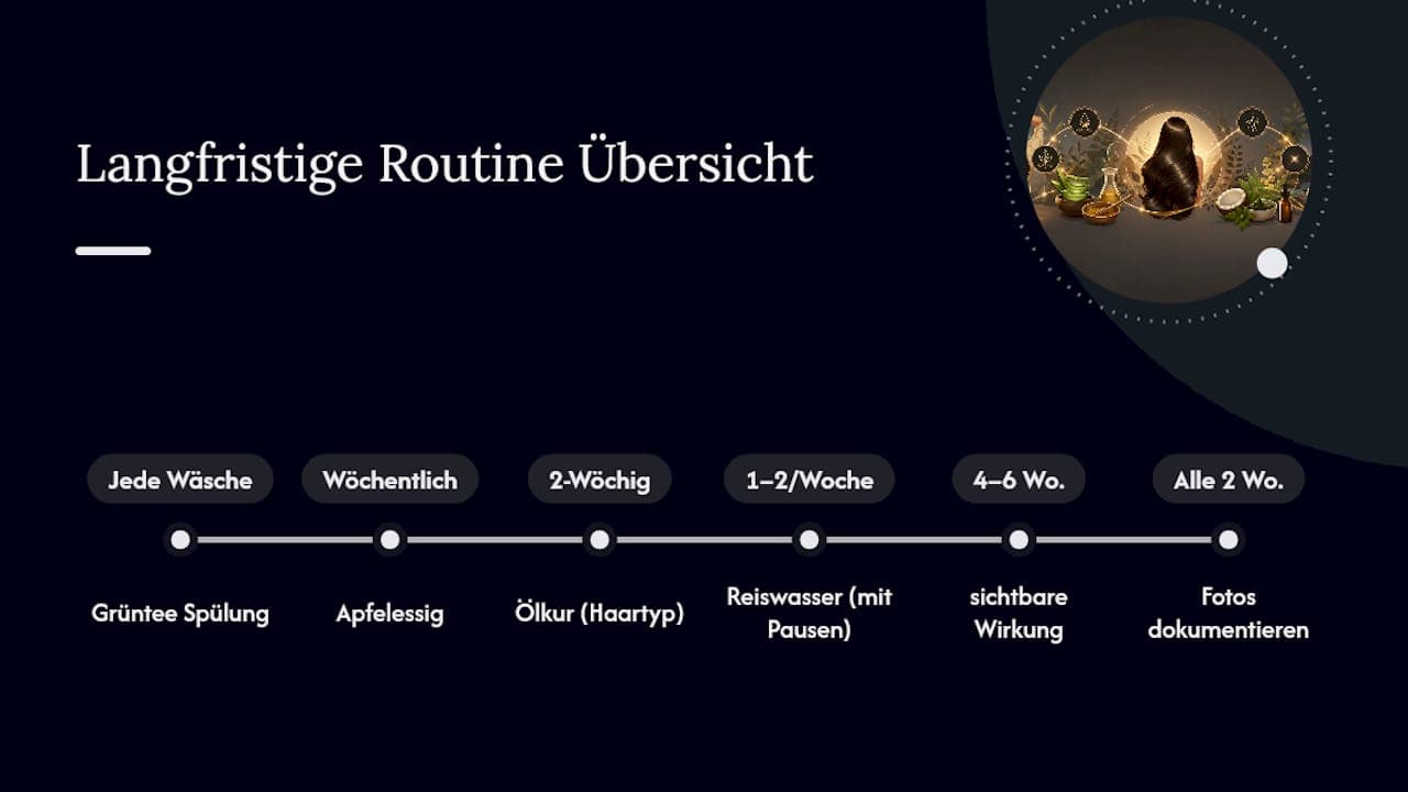 Die langfristige Routine für dauerhaft glänzendes Haar — overview diagram