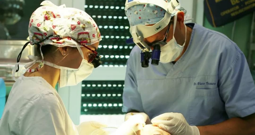 Trapianto capelli e chirurgia estetica Dott. Piero Tesauro clinic 1